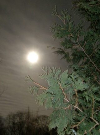 full moon
