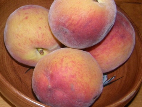 red haven peaches